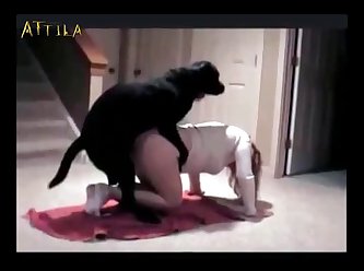Big Black Dog Knots Up In Some Hot Girl Pussy (part 4)