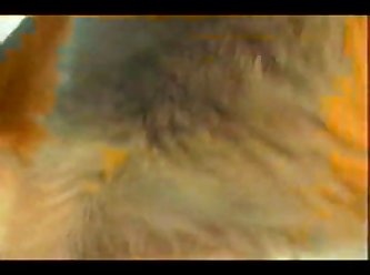 When His Cock Was Freed Sexy Womant Swallowed Him Completely