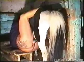 Mrs Beast Horse Lover (part 4)