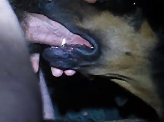Don T Try This At Home Man Cums In Rottweiler S Mouth