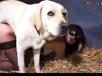 Sucking On A Big Clit