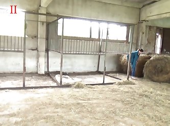 Free Full Videos