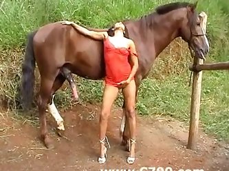 Each Were Jacking Their Pricks As They Looked Down At Horse Addicted Teen As She Lay On Her Back Together With Her Pussy