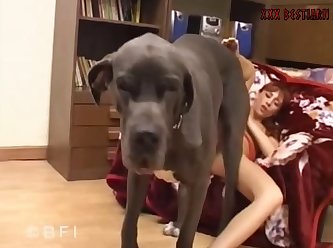 Cute Dog Sex Teen Ass Wowww