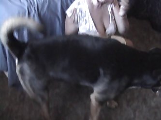 Dog Sex With Girl Blindfolded - Blindfolded