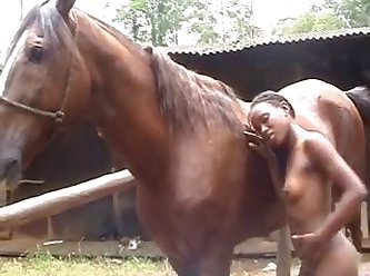 Bam Young Black With Horse