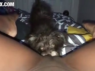 [480x270] Part 1 Puppy Eats Me On My Period Petsex.com Converted New
