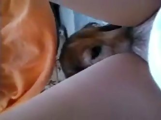 Dog Lickin My Pussy
