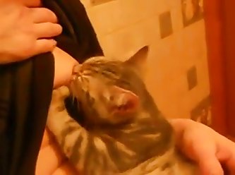 My Girlfriend Breastfeeding Cat