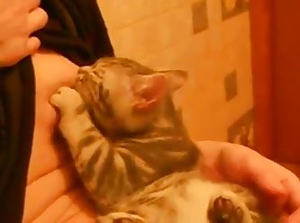 My Girlfriend Breastfeeding Cat