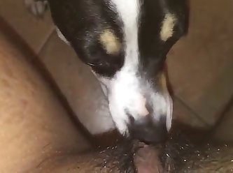 z xxx Licking My Pussy Again