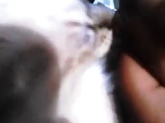Ebony Black Tits Breastfeeding Cat