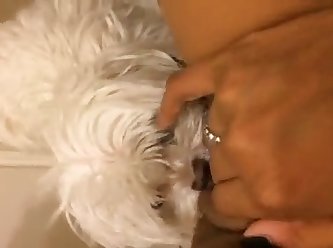 Hispanic Girl Getting Tight Pussy Licked