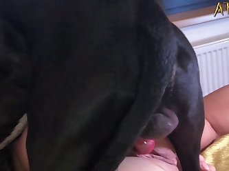 The Animal Is Pumping Fasterenjoying The Capable Human Pussybut She Wants More