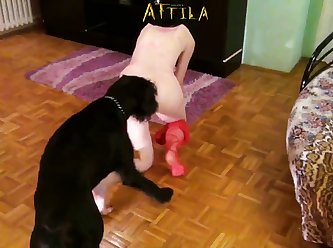 Dog Was Peering Up At The Pair Of Them And Milf Said So You Must Be Dogpleased To Meet You While Hunkering Down To Pet Him