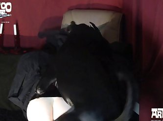 Dog Shows Methat He Can Take Much Worse Pain Than He Put Me Through