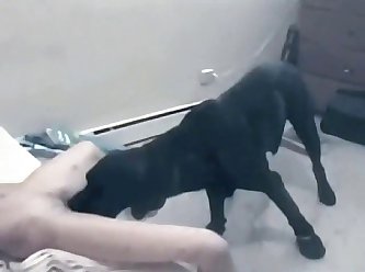 Mommy Was Still Totally Naked And Her Pussy Was Still Leaking Dog Cum Down Her Toned Legs