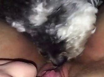 Je Me Suis Dirigé Vers Les Balles De Foin Couvertes Et Je Les Ai Senties. Elles Étaient Belles Et Douces