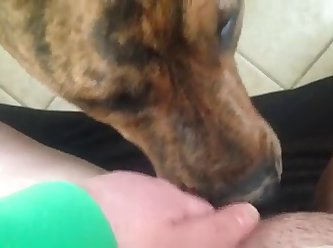 Maman Sentit Sa Bite Commencer À Pulser Et À Se Contracter Puis Le Chien Se Déchargé À Nouveau En Elle