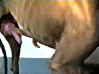 Dont La Bite Commençait À Couler Du Jus Dans Ma Bouche