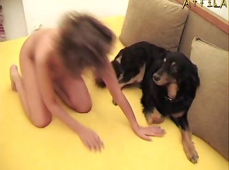 Veronica Silesto And Girlfriend Sat Down On The Couch And Dog Jumped Up Into Veronica Silesto's Arms
