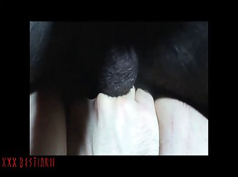 Hot Sexing Wife