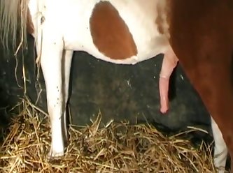 She Gathered It Up And Sucked And Kissed On It More