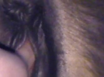 Horse Man Morning Mare Excellent Man Fucks Horse 1