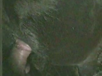Me Fucking My Gfs Pony 2 1