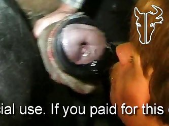 Etp Pony cum