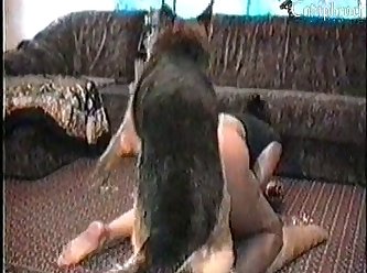 Gilr And Pig Sex