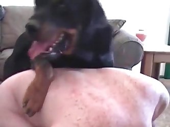 2936