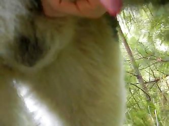 Husky Jerk