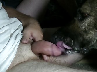 Hungry Pup Part 2 Of 2