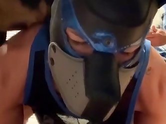 Pup Fucked Hard By Daddy's Dog
