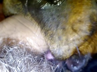 Dog Giving Real Bj