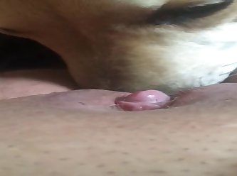 Doggy Licks Ftm Pussy