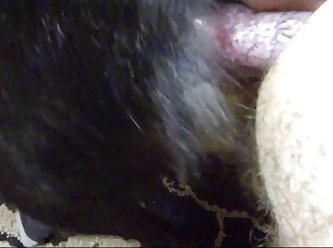 Lab Pull Out.mov