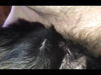 Rottweiler Bitches Compilation