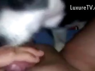My Licker Female Dog