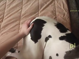 Greta Quickie Petlust P237