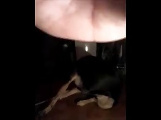 Bitch Fucked