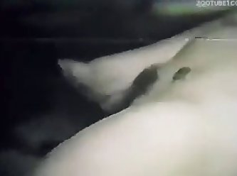 Vintage Woman Suck Dog Dick