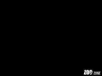 Hot Indian Porn
