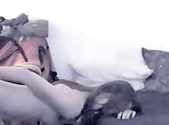Pink Pussy Porn
