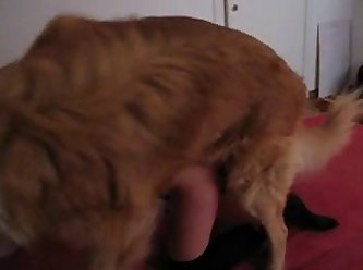 First Time Anal Sex