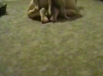 Sneaky Sex Porn
