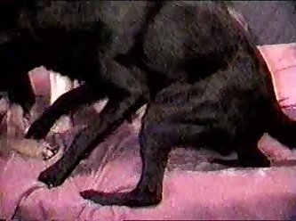 Fat Pussy Porn