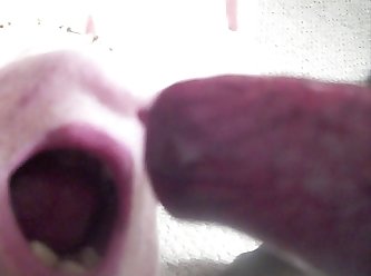 Is Animal Porn Real