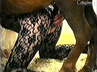 Beastiality Telegram Groups